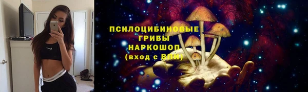 МДПВ Краснослободск