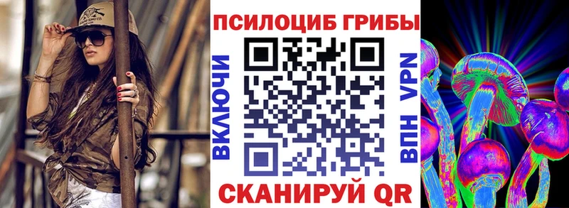 Псилоцибиновые грибы мицелий  даркнет какой сайт  Ханты-Мансийск 