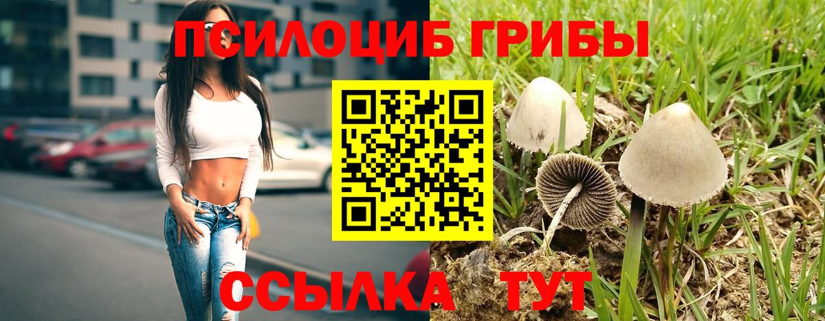 Ханты-Мансийск  хочу наркоту  Вход с VPN  Псилоцибиновые грибы прущие грибы 