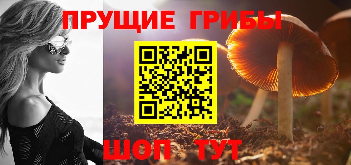 Галлюциногенные грибы Cubensis Ханты-Мансийск