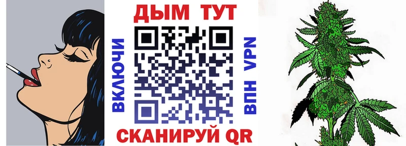 KRAKEN   Ханты-Мансийск  Конопля план 